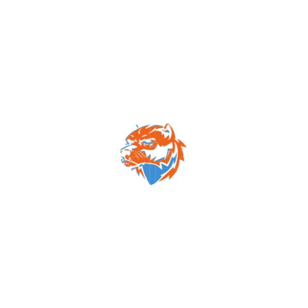 WVBB DESIGN 3 BLACK Thumbnail