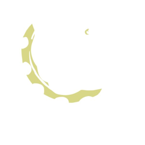 BEV TRACK LOGO 3 SHORTS Thumbnail