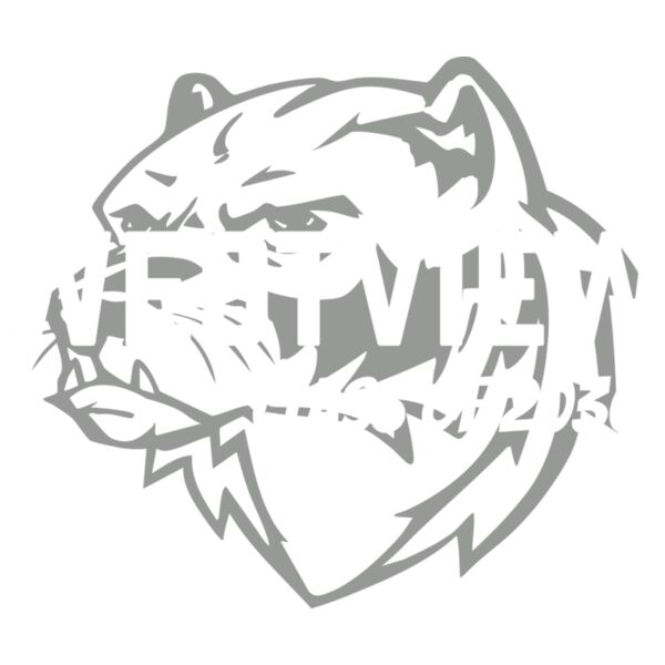 FRESHMAN JUMPSTART LOGO 5 ORANGE BLUE Thumbnail